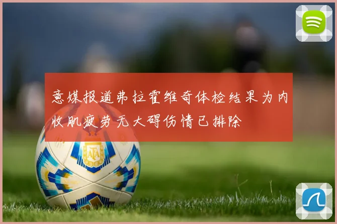 意媒报道弗拉霍维奇体检结果为内收肌疲劳无大碍伤情已排除