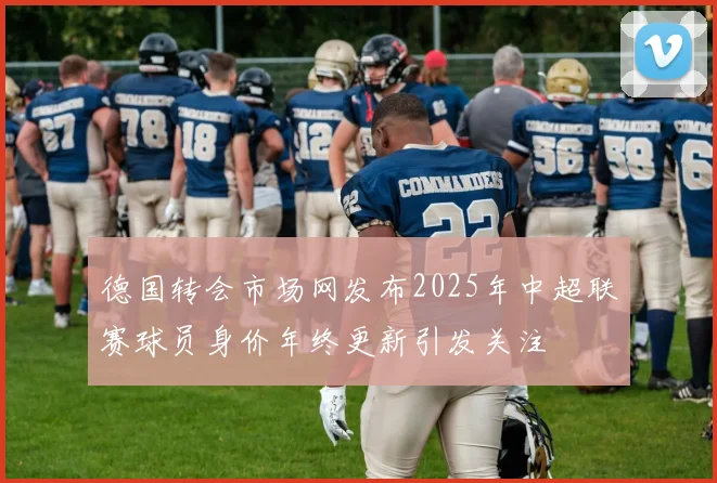 德国转会市场网发布2025年中超联赛球员身价年终更新引发关注