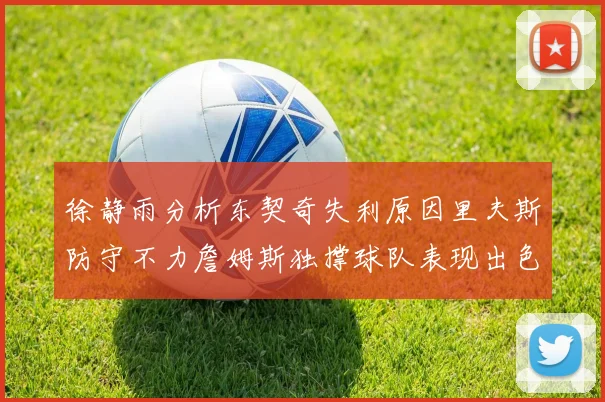 徐静雨分析东契奇失利原因里夫斯防守不力詹姆斯独撑球队表现出色